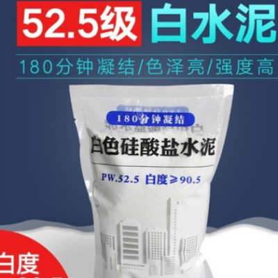 525白水泥墻面修補瓷磚填縫馬桶固定手工花盆高強度高白度2件包郵