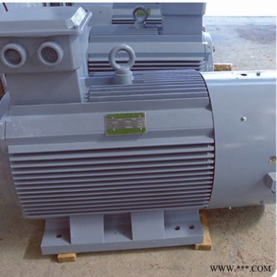 供應(yīng)500KW60rpm永磁發(fā)電機(jī) 永磁發(fā)電機(jī)低速發(fā)電機(jī) 大功率發(fā)電機(jī)